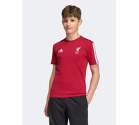 adidas Junior Liverpool FC DNA T-Shirt, Red, Size 11-12 Years Red