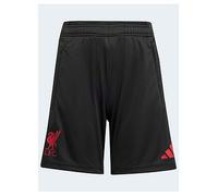 adidas Junior Liverpool Training Short, Black, Size 7-8 Years Black