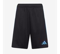 adidas Junior Tiro 23 Club Training Shorts