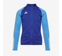 adidas HU1304 TIRO23 C TR JKY Jacket Unisex Kids team royal blue/pulse blue 910A