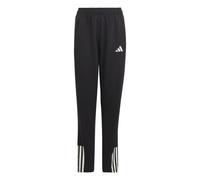Adidas Junior Tiro 23 Competition Training Tracksuit Bottoms Colour: Black, Size: 9-10 years