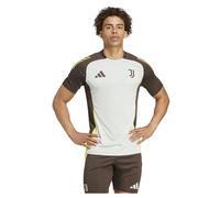 Adidas Juventus 24/25 Tiro 24 Competition Training Short Sleeve T-shirt