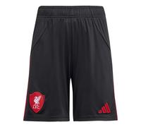LFC adidas Youth 25/26 Away Shorts