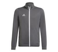 adidas Unisex Kids Entrada 22 Track Jacket, Team Grey Four, 15-16 Years