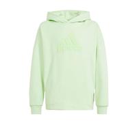 adidas Kids U Fi Logo HoodieHoody Unisex Green/green 11-12 Years