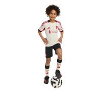 adidas Liverpool 25/26 Away Football Mini Kit 4-5Yr