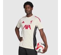 adidas Liverpool 25 26 Competition Training Shirt