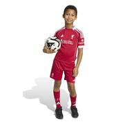 adidas Liverpool 25/26 Home Football Mini Kit 3-4Yr
