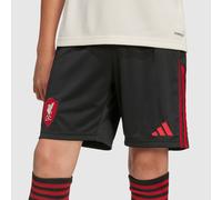 LFC adidas Youth 25/26 Away Shorts