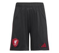 LFC adidas Youth 25/26 Away Shorts