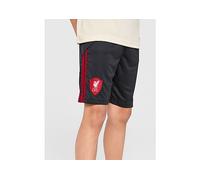 Liverpool FC 25/26 Away Shorts