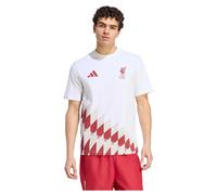 Adidas Liverpool Fc Stadium Graphic Short Sleeve T-shirt White M Men