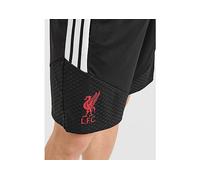 Liverpool Football Shorts Training Black adidas Mens Premier League Official