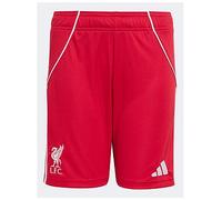 adidas Liverpool Junior 25/26 Home Stadium Replica Shorts, Red, Size 13-14 Years Red