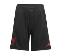 LFC adidas Youth 25/26 Domestic Training Shorts Black