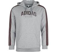 Adidas M C Colleg HOODIE Hoodie mottled grey S