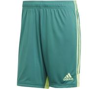 Adidas M Tastigo 19 Shorts DP3251 shorts