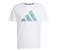 adidas Men's adi365 Running Essentials Brand Love Tee, White, S