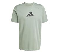 adidas Men's AEROREADY All-Gym Category Graphic Tee, Silver Green, L