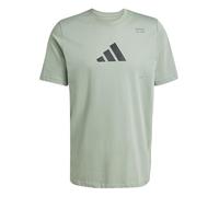 adidas Men's AEROREADY All-Gym Category Graphic Tee, Silver Green, XXS