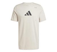 adidas Men's AEROREADY All-Gym Category Graphic Tee, Wonder Alumina, XXL