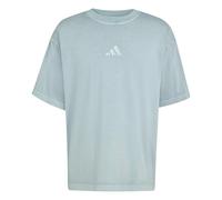 adidas Men's All SZN Washed T-Shirt, Wonder Sage, XL