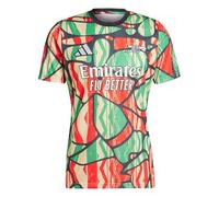 adidas Mens Arsenal Fc 24/25 Pre-Match Jersey, Red/Black, L
