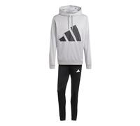 adidas Men's BIG LOGO FRENCH TERRY HOODED TRACKSUITS, medium grey heather, L