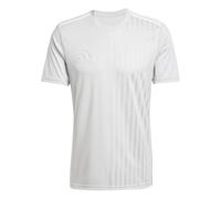 adidas Men's CAMPEON25 Jersey, Team Light Grey/White, L