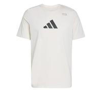 adidas Men's Climacool Category Training Graphic T-Shirt, Chalk White, 3XL