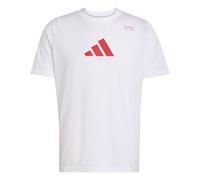 adidas Men's Climacool Category Training Graphic T-Shirt, White/Pure Ruby, XXL