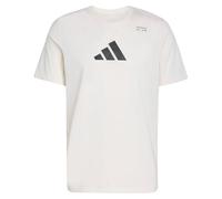 adidas Men's Climacool Category Training Graphic T-Shirt XL Chalk White