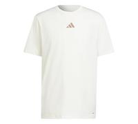 adidas Men's Climacool One Rep at A Time Training Graphic T-Shirt, Chalk White, 4XL