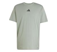 adidas Men's Climacool One Rep at A Time Training Graphic T-Shirt, Silver Green, XXL