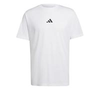adidas Men's Climacool TECH Training Graphic T-Shirt, White, XL