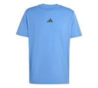 adidas Men's Climacool Training Identity Graphic T-Shirt, ray Blue, 3XL