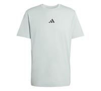 adidas Men's Climacool Training Identity Graphic T-Shirt, Wonder Sage, 3XL