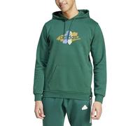 adidas Men's CODES GRAPHIC HOODIE, COLLEGIATE GREEN, M