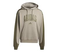 adidas Men's COLLEGIATE FLEECE HOODIE, silver pebble/olive strata, L