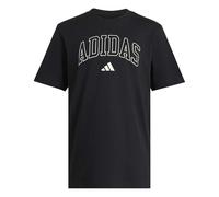adidas Men's Collegiate Lineage Graphic Shirt, Black, XL