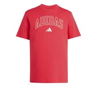 adidas Men's Collegiate Lineage Graphic Shirt, Pure Ruby, 4XL