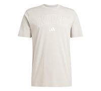 adidas Men's Collegiate Lineage Graphic Shirt, Wonder Alumina, 3XL