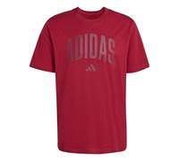 adidas Men's Collegiate Lineage Graphic T-Shirt, Active Maroon, XXL