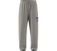 adidas Men's Collegiate Pants, Wonder Alumina/Dark Blue, 3XL