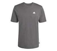 adidas Men's Color ICON Graphic T-Shirt, Grey Five, XL