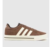 adidas Men's Daily 4.0 Trainers in Brown & Cream, Suede, Size: 7 UK 7