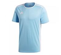 Adidas Men's Entrada 18 Jersey, Clear Blue/White, Small