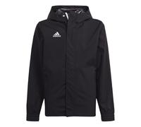Adidas Mens Entrada 22 All-Weather Jacket Colour: Black, Size: Extra Small