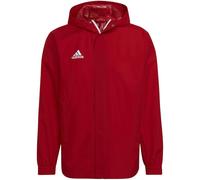 Adidas Ent22 Aw Jacket Red L / Regular Men