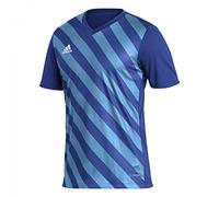 adidas Men's Entrada 22 Graphic Jersey, Royal Blue/App Sky Rush, S